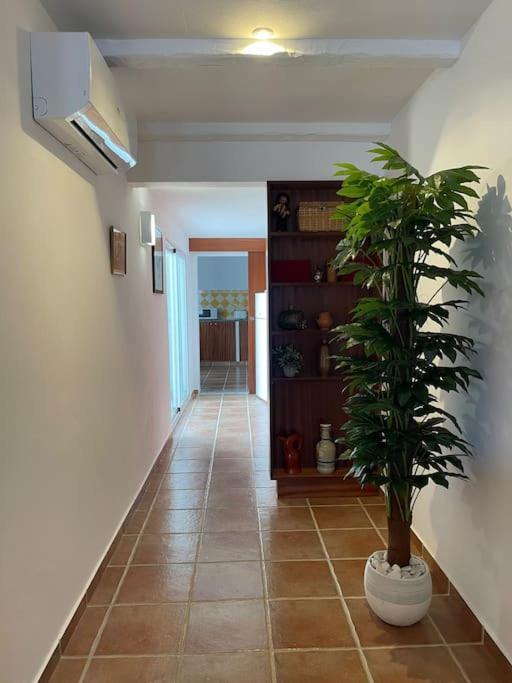 Mourão Casa Da Oliveiraヴィラ エクステリア 写真